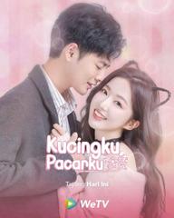 Bạn Gái Tôi Là Một Chú Mèo - My Cat-astrophic Lover (2022)