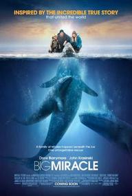 Phép Màu - Big Miracle (2012)
